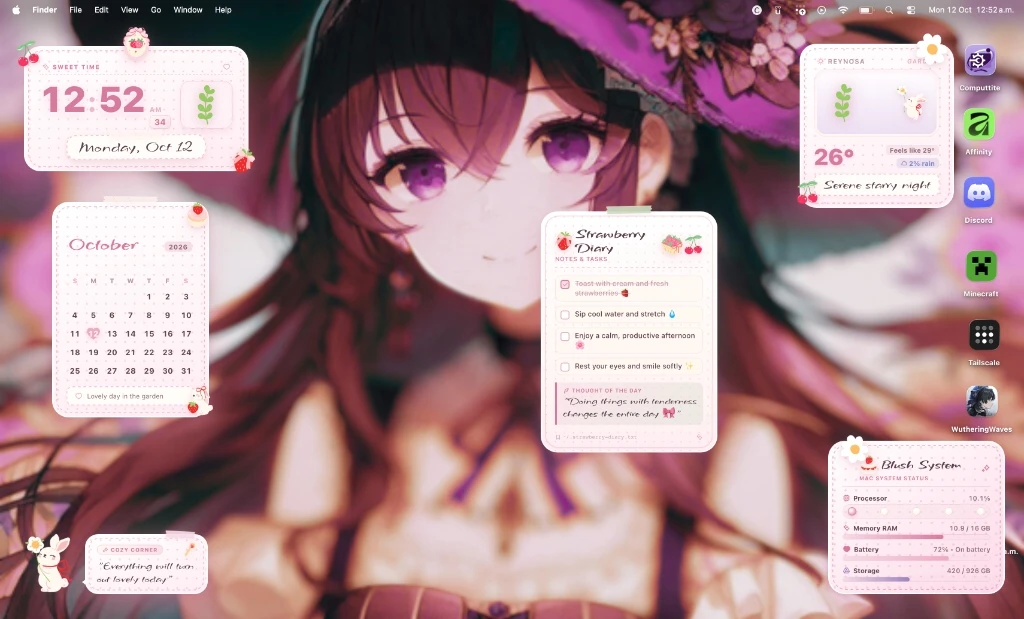 Sxnny Widgets